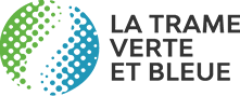 logo-tvb-rvb-768×400